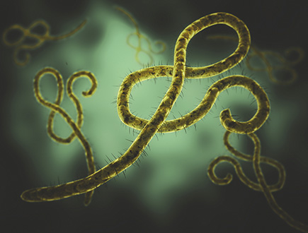 virus_ebola_janssen