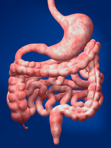 Gastric System Disorders